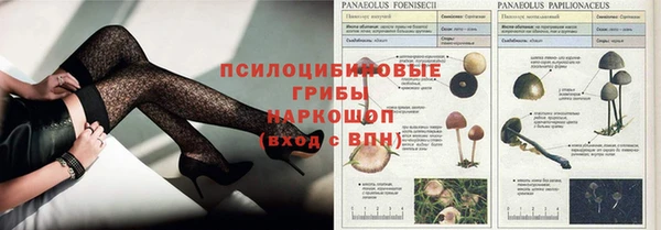 амф Пролетарск