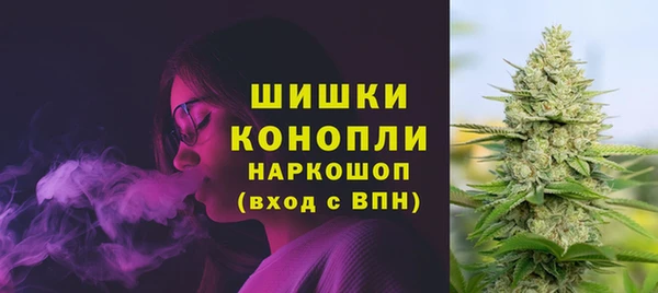 гашик Балахна